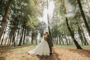 le la mariée et jeune marié marcher main dans main par le forêt. content couple. mariage photo. couple dans l'amour. grand des arbres, grand angle photo. parfait lumière photo