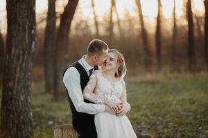 mariage photo dans la nature. le jeune marié est assis sur une en bois rester, le la mariée des stands suivant à lui, penché sur le sien épaule. Regardez à chaque autre. portrait de le la mariée et jeune marié