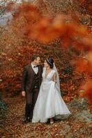 mariage couple sur une marcher dans le l'automne parc, moyen portrait, endroit pour texte photo
