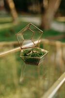 deux or mariage anneaux dans une magnifique élégant verre boîte avec mousse. verre tableau. mariage accessoires. photo