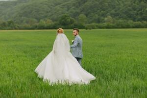 grand angle portrait de le la mariée et jeune marié en marchant sur une vert Prairie contre le Contexte de montagnes. arrière voir. magnifique robe. élégant jeune marié. mariage photo