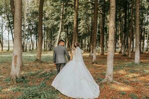 le la mariée et jeune marié marcher main dans main par le forêt. content couple. mariage photo. couple dans l'amour. grand des arbres, grand angle photo. parfait lumière photo