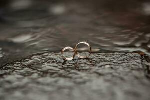 mariage la photographie. mariage anneaux supporter sur une pierre dans le l'eau. flou Contexte. l'eau. mariage détails. marron Contexte photo