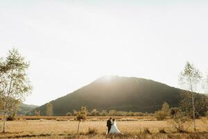 mariage photo. le la mariée et jeune marié sont permanent dans une champ contre le Contexte de des arbres et gros montagnes. photo dans une lumière clé. couple dans l'amour. élégant jeune marié