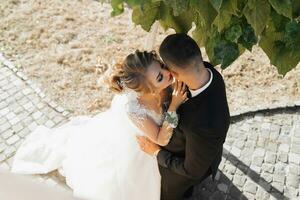 mariage portrait. le jeune marié dans une noir costume et le blond la mariée dans une blanc robe avec une train sont étreindre en dessous de une arbre. vue de au-dessus de. photo session dans la nature. Soleil des rayons dans le photo