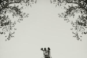 atmosphérique grand angle photo contre le Contexte de le ciel et des arbres. le mariée, en portant une bouquet, câlins le jeune marié. noir et blanc photo. mariage portrait