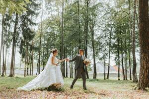 le la mariée et jeune marié marcher main dans main par le forêt. content couple. mariage photo. couple dans l'amour. grand des arbres, grand angle photo. parfait lumière photo