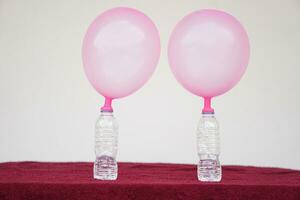 deux rose des ballons sur Haut de bouteilles. concept, science expérience à propos réaction de chimique substance, le vinaigre et cuisson un soda cette cause ballon gonfler. dernier étape de expérience photo