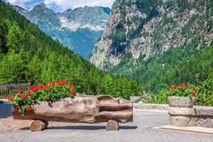 rue décoré par fleurs,chamonix mont blanc,france photo