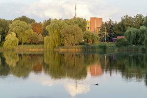 paysage coup de le magnifique parc. en plein air photo