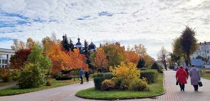 baranovichi, biélorussie - 14.10.2023 - coup de le coloré l'automne des arbres à le ville centre. en plein air photo