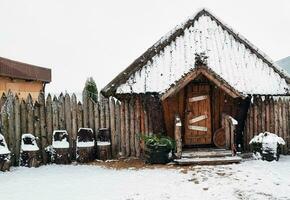 coup de le Extérieur hiver scène dans le rural village. la nature photo