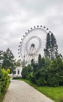 coup de le grand ferris roue dans le ville. attraction photo