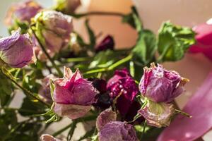 concept coup de le Contexte thème, emballage papier, séché des roses autre fleurs et autre dispositions. valentines journée photo