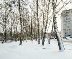 paysage coup de le rue sur le hiver journée. saison photo