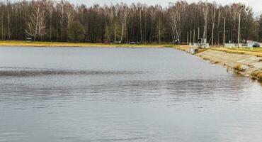 paysage coup de le Lac pendant du froid saison. la nature photo