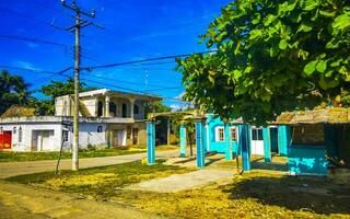 voitures colorées typiques de la circulation routière de la rue palmiers de tulum au mexique. photo