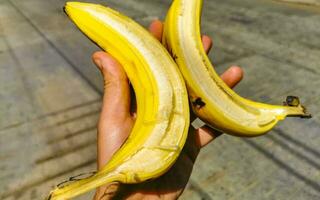 double banane deux bananes dans un dans le main Mexique. photo