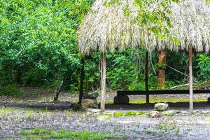 palapa cabane maison cabine dans tropical jungle cobá ruines Mexique. photo