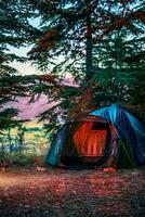 camping dans la forêt photo