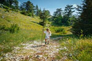 agréable peu garçon aventurier dans le forêt photo