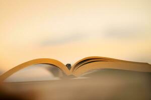 en plein air soir avec une livre photo