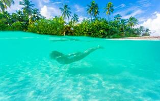 femelle plongée près exotique île photo