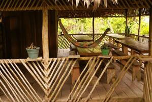 Pérou, péruvien amazonas paysage. le photo présent typique Indien tribus règlement dans amazone