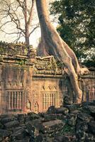 preah khan temple, angkor zone, siem recueillir, Cambodge photo