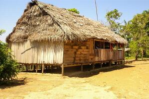 Pérou, péruvien amazonas paysage. le photo présent typique Indien tribus règlement dans amazone