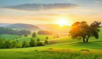 ai généré magnifique lever du soleil plus de vert Prairie dans le Matin. paysage avec brouillard. photo