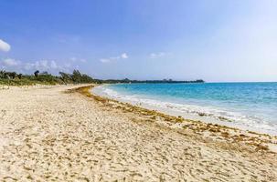 plage mexicaine tropicale 88 punta esmeralda playa del carmen mexique photo