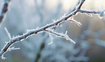 ai généré givré branches sur une glacial hiver Matin. magnifique hiver Contexte photo