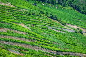 le Suisse alpin ville de martigny entouré par vignobles et montagnes photo