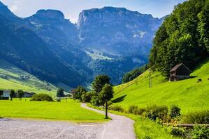 falaises couvert avec des arbres près Ebénalp, Suisse photo