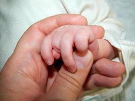 la main d'un enfant et d'un adulte photo