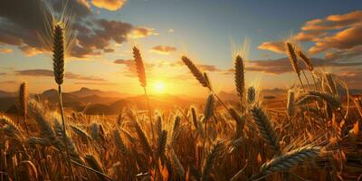 ai généré blé des champs avec une magnifique le coucher du soleil voir. génératif ai photo