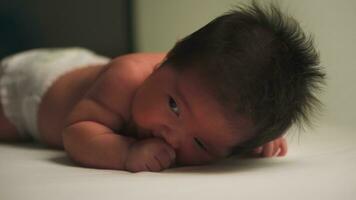 portrait de une rampant bébé, mignonne nouveau née bébé. photo