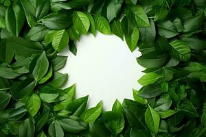 ai généré vert feuilles forme une circulaire Cadre avec blanc centre, Haut vue photo