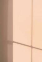 Contexte pêche duvet mur studio, printemps, été Couleur tendance 2024, vide beige pièce Contexte avec ombre légère feuilles sur surface texture sur mur, toile de fond afficher pour cosmétique, spa produit présentation photo