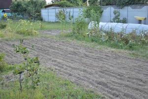 terres arables pour planter des sidérates dans le jardin photo