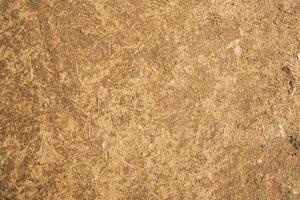 vache bouse marron plâtre de sol abstrait texture Contexte campagne de bangladesh photo