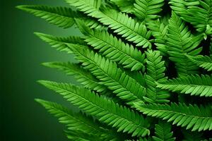 ai généré vert fougère feuilles de polypodiopsida usine, une tropical délice avec fond photo