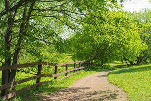 sentier le long d'une clôture en bois, journée ensoleillée de printemps ou d'été photo