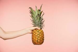 horizontal photo de féminin main posant plus de rose Contexte avec gros ananas, tenir les doigts serré tandis que en portant il. Frais des fruits et nourriture concept