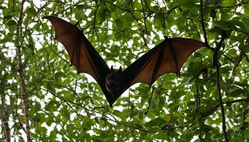 ai généré une chauve souris est en volant par le des arbres photo