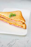 sandwich jambon-fromage photo