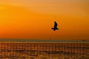 le coucher du soleil ciel sur crépuscule dans le mer soir avec Orange or le coucher du soleil la nature ciel arrière-plan, horizon d'or ciel, magnifique des nuages, crépuscule ciel photo