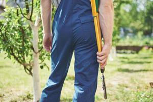 un jardinier professionnel au travail coupe des arbres fruitiers. photo