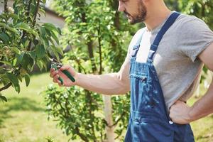 un jardinier professionnel au travail coupe des arbres fruitiers. photo